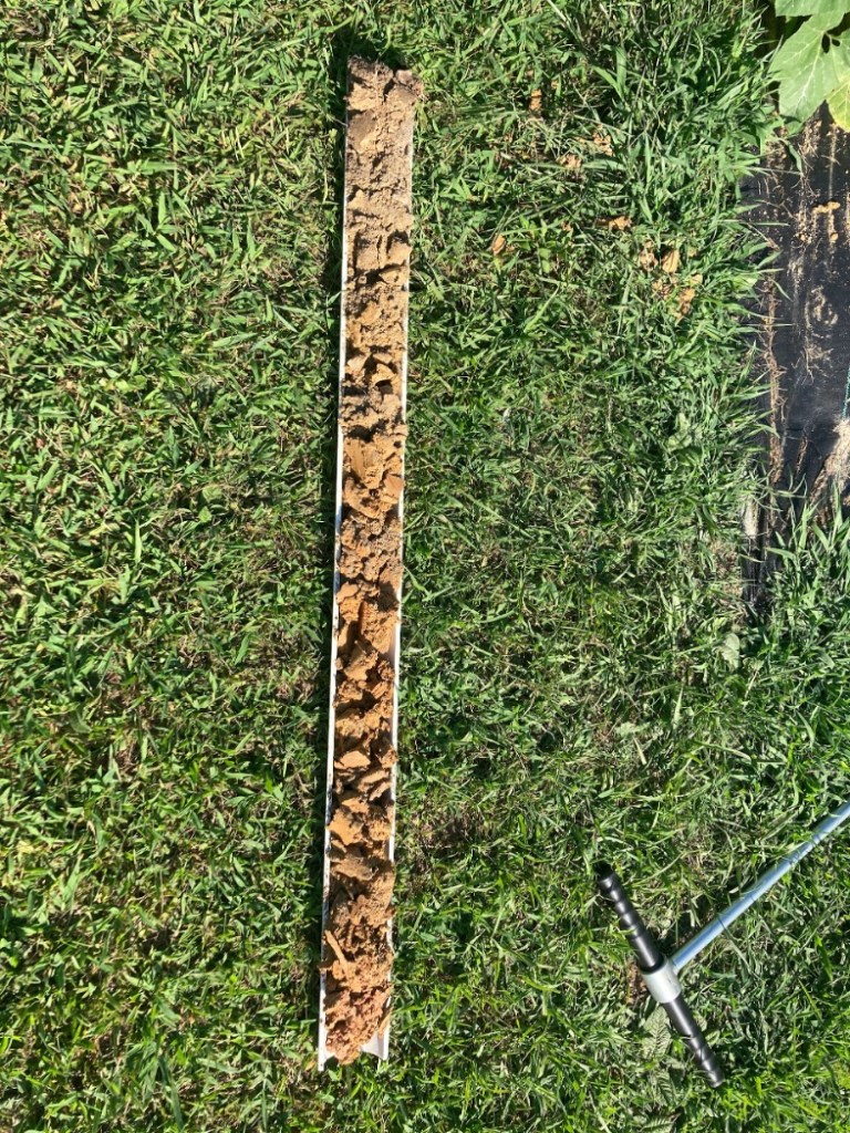 Soil Monolith from Tierra Negra Farm at Earthseed Collective, Durham, NC