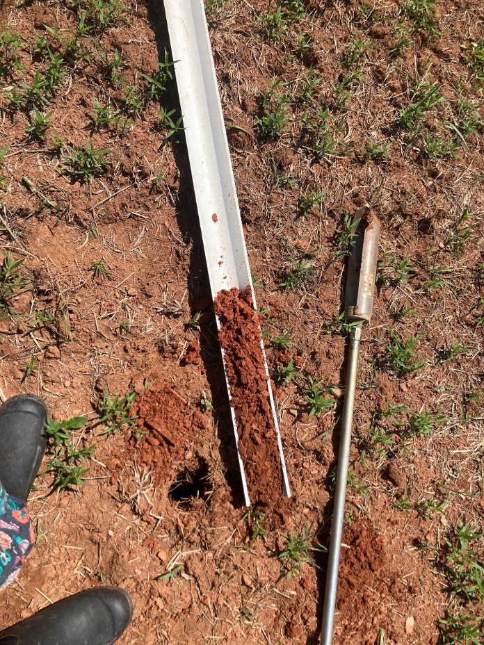 Soil Monolith from Sweet Vines Farm Winery - Unionville, VA. 