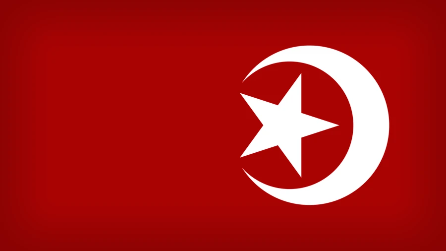 Nation of Islam flag