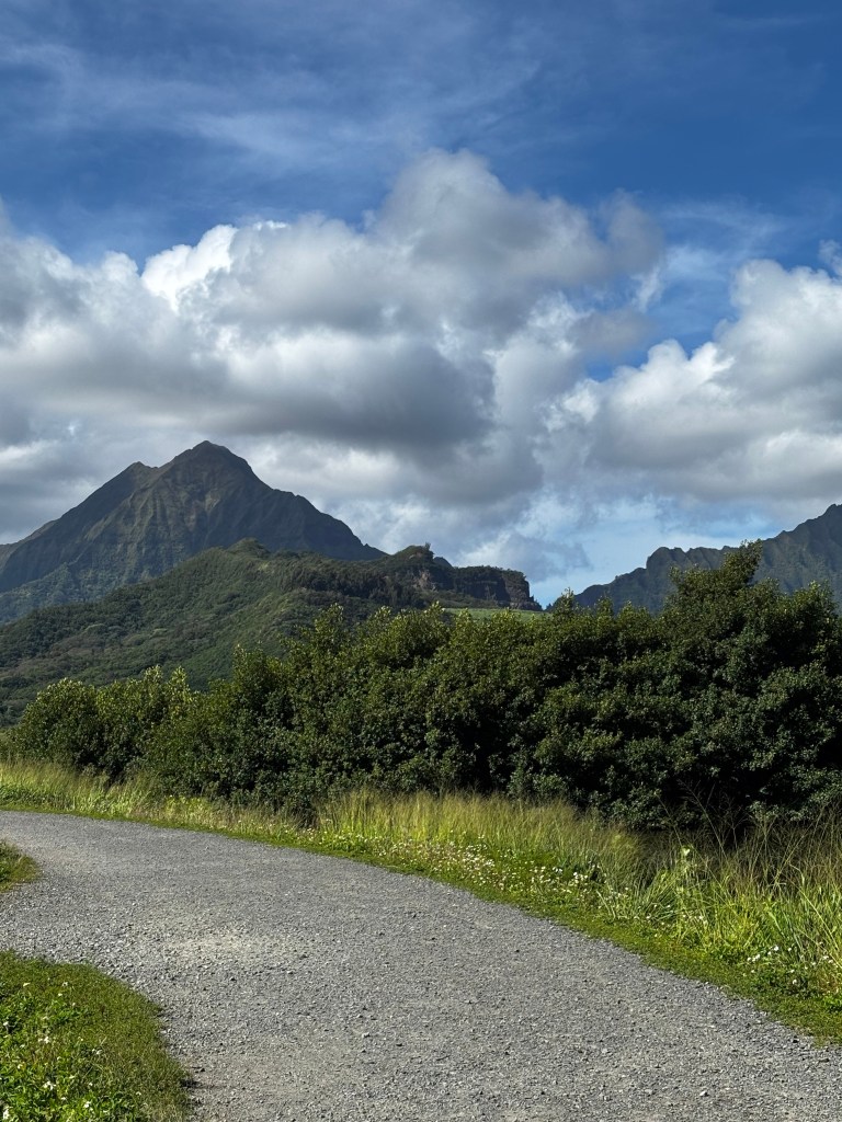 Landscape in Kailua, O'ahu.