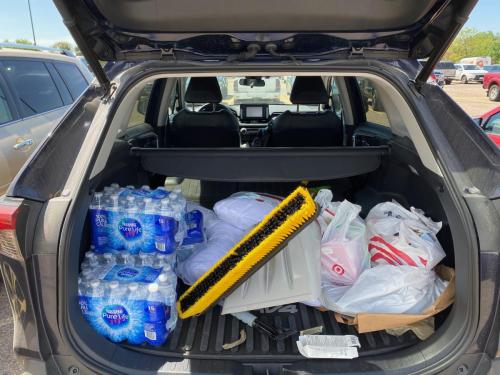 Figure 3. My first time picking up supplies. I posted on facebook that I was going to pick up supplies in response to a call I'd seen on social media. By the time I'd reached the Target (about a twenty minute drive) people had already donated $200. May 28, 2020 (personal photo).